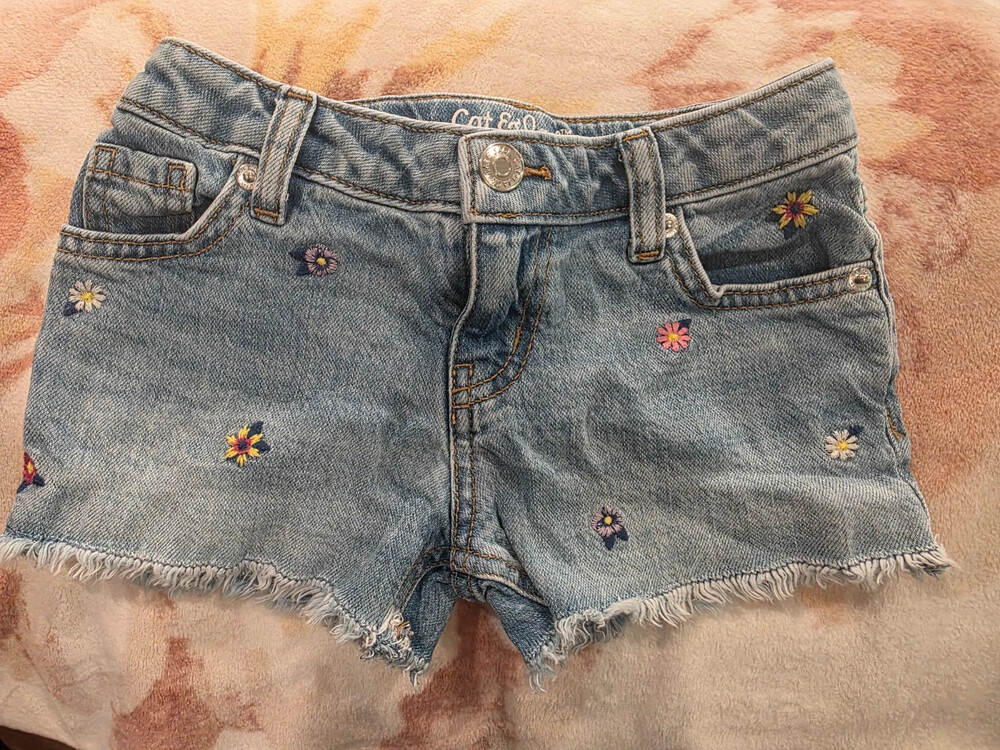 Embroidered Jean Shorts
